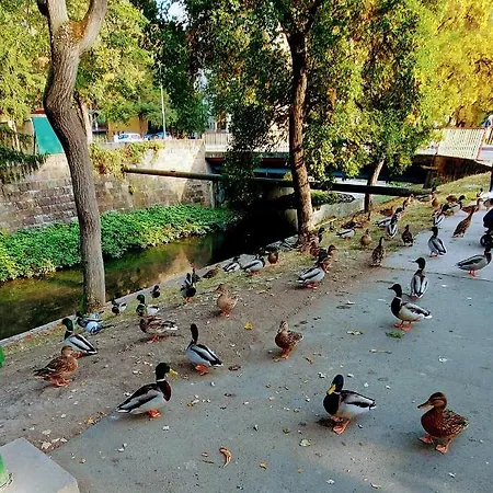 アパート Pitypang エゲル