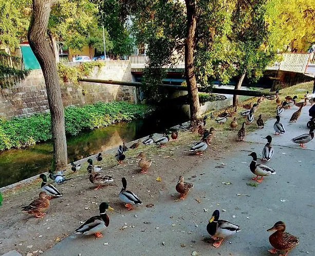 Appartement Pitypang Eger